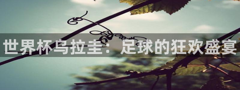 世界杯直播网：世界杯乌拉圭：足球的狂欢盛宴