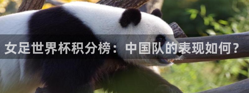 世界杯官网：女足世界杯积分榜：中国队的表现如何？