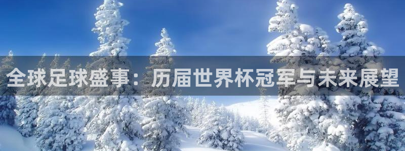 26世界杯：全球足球盛事：历届世界杯冠军与未来展望