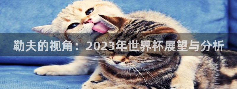 2026世界杯亚洲区预选赛赛程：勒夫的视角：2023年世界杯展望与分析