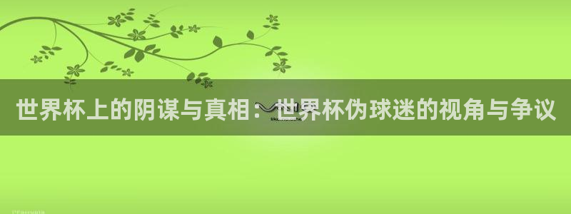 中国 世界杯：世界杯上的阴谋与真相：世界杯伪球迷的视角与争议