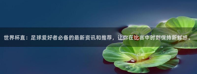 世预赛欧洲赛程表：世界杯直：足球爱好者必备的最新资讯和推荐，让你在比赛中时刻保持新鲜感。