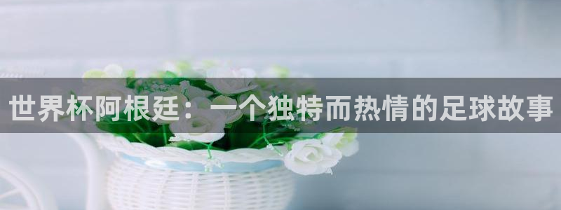 世界杯直播网:世界杯阿根廷:一个独特而热情的足球故事