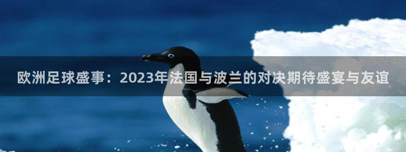 足球世预赛：欧洲足球盛事：2023年法国与波兰的对决期待盛宴与友谊