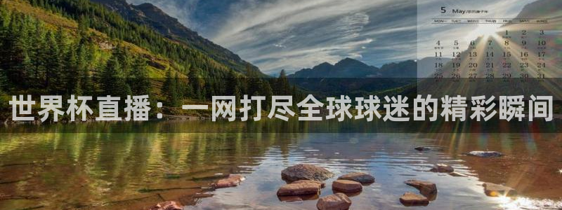 世界杯足球比赛：世界杯直播：一网打尽全球球迷的精彩瞬间