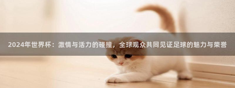 足球比分直播世界杯：2024年世界杯：激情与活力的碰撞，全球观众共同见证足球的魅力与荣誉