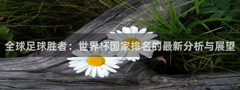 世界杯预选赛欧洲:全球足球胜者:世界杯国家排名的最新分析与展望