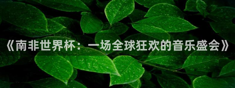 2026足球世界杯赛程时间表：《南非世界杯：一场全球狂欢的音乐盛会》
