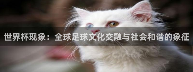 2026世界杯小组赛赛程时间表：世界杯现象：全球足球文化交融与社会和谐的象征